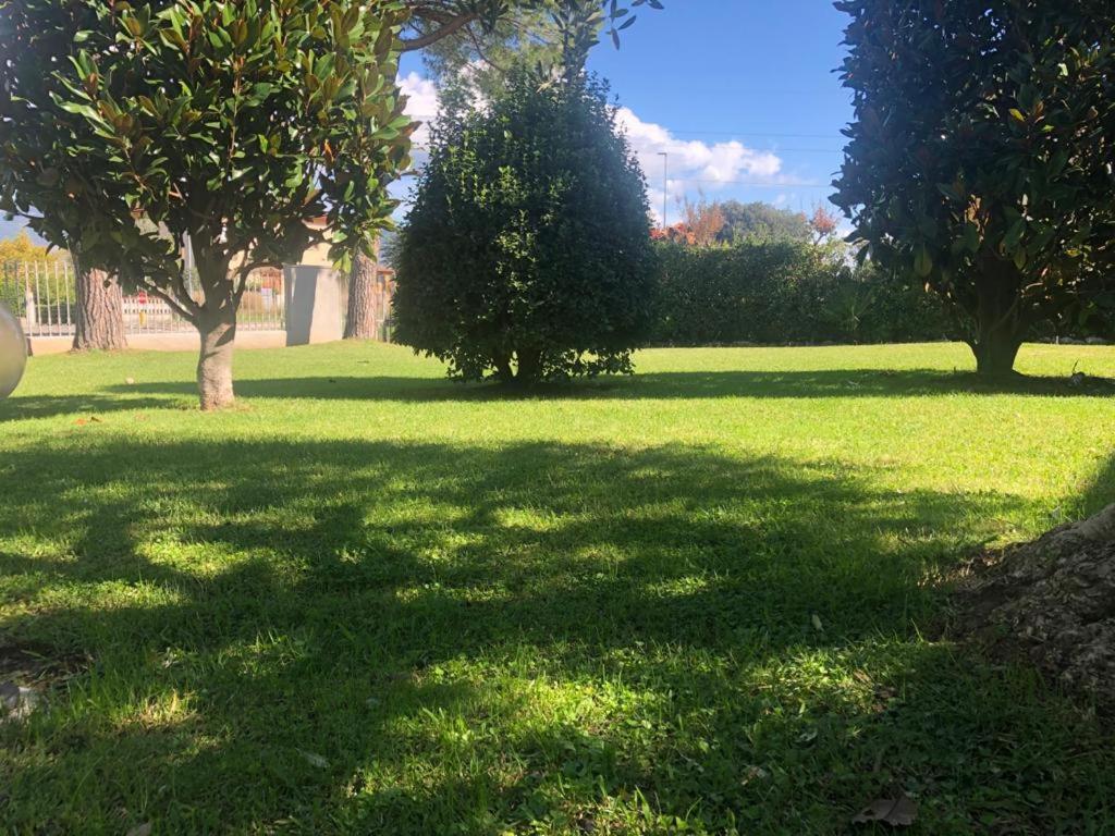 Villa Orsini - A Retreat In Pisa - Food And Relax Ngoại thất bức ảnh